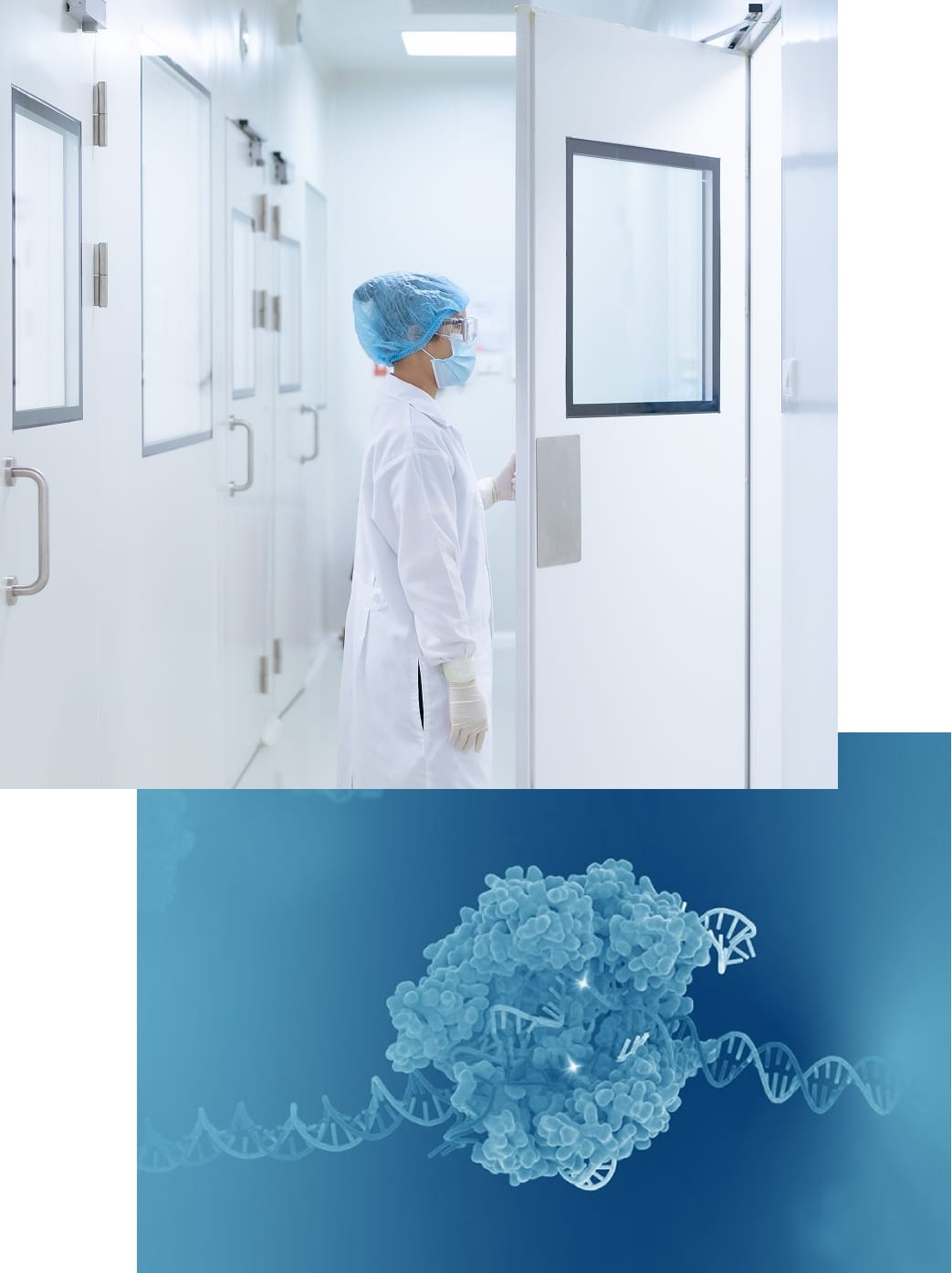 The IDT advantage