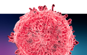 Blood cancer panels