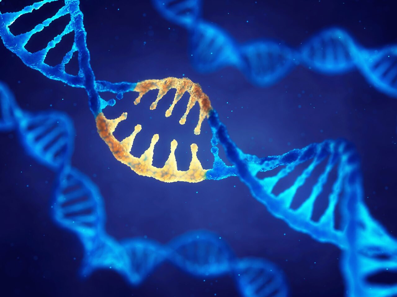 Reliable variant and fusion calling with Archerᵀᴹ assays on the new AVITI platform by Element Biosciences.