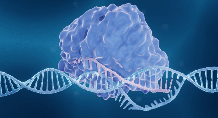 CRISPR-Based Therapy Regulatory eBook