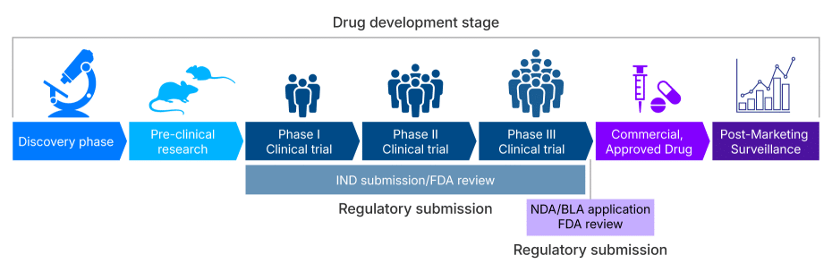Drug development stages - discovery phase, pre-clinical research, phase 1 clinical trial, phase 2 clinical trial, phase 3 clinical trial, commercial approved drug, post-marketing surveillance. IND submission/FDA review across Phase 1, 2 and 3 clinical trials. NDA/BLA application FDA review after phase 3
