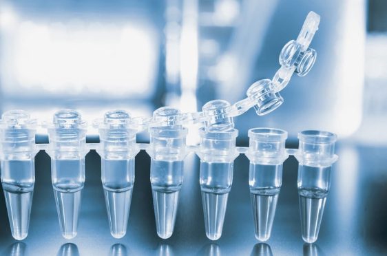 Create custom probes for any species with our free PrimerQuest™ Tool 